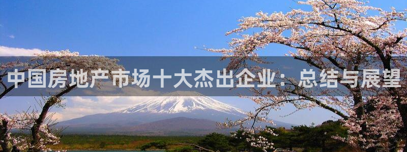 新宝5下载官方：中国房地产市场十大杰出企业：总结与展望