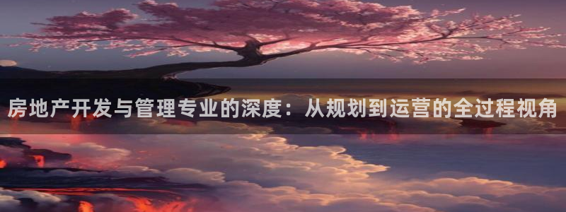 新宝5娱乐没：房地产开发与管理专业的深度：从规划到运营的全过