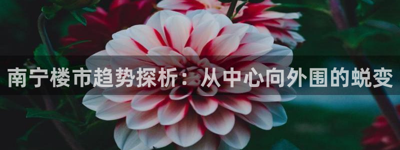 新宝5d：南宁楼市趋势探析：从中心向外围的蜕变