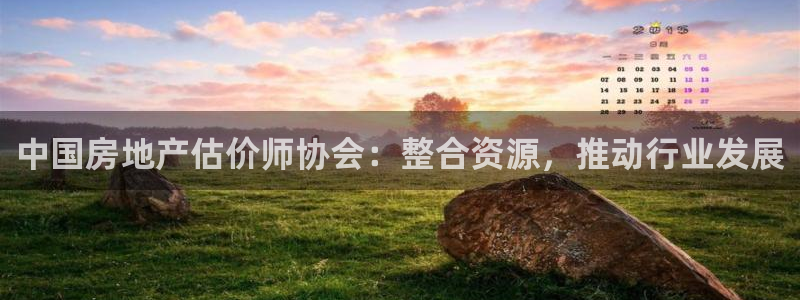 新宝5登录入口网址：中国房地产估价师协会：整合资源，推动行业