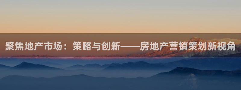 新宝娱乐5入口：聚焦地产市场：策略与创新——房地产营销策划新