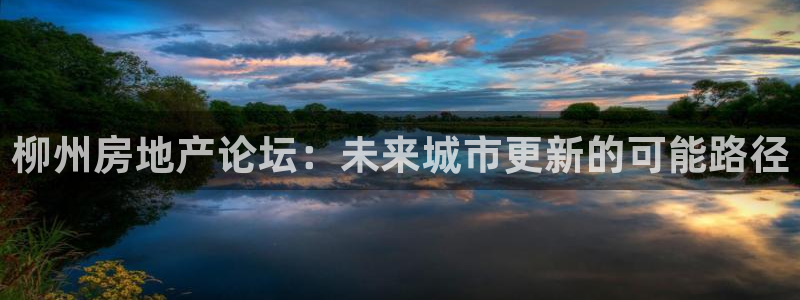 新宝5吕74OOO5：柳州房地产论坛：未来城市更新的可能路径