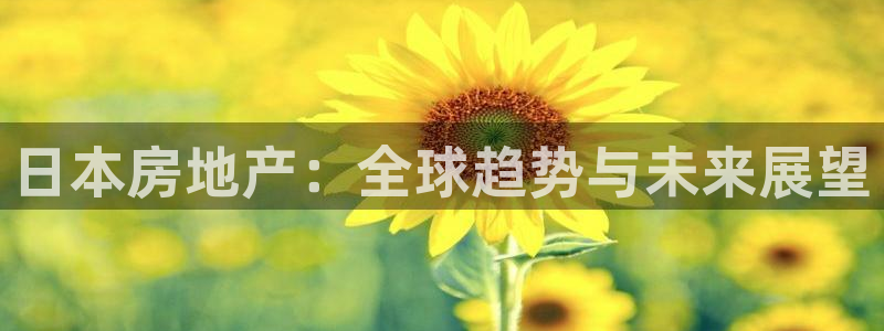 新宝5注册：日本房地产：全球趋势与未来展望
