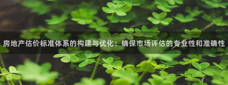 新宝5平台霸：房地产估价标准体系的构建与优化：确保市场评估的