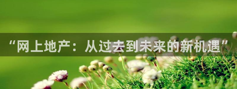 有人知道新宝5么：“网上地产：从过去到未来的新机遇”