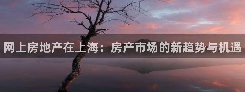 新宝5测速线路：网上房地产在上海：房产市场的新趋势与机遇