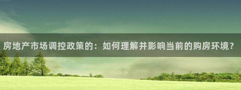 新宝5注册平台：房地产市场调控政策的：如何理解并影响当前的购