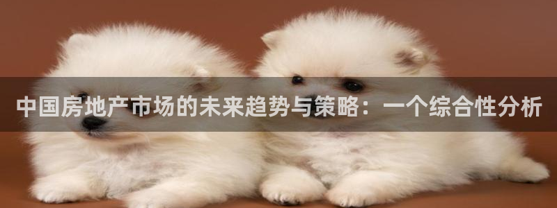 新宝5登录界面：中国房地产市场的未来趋势与策略：一个综合性分