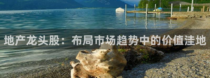 新宝5测：地产龙头股：布局市场趋势中的价值洼地