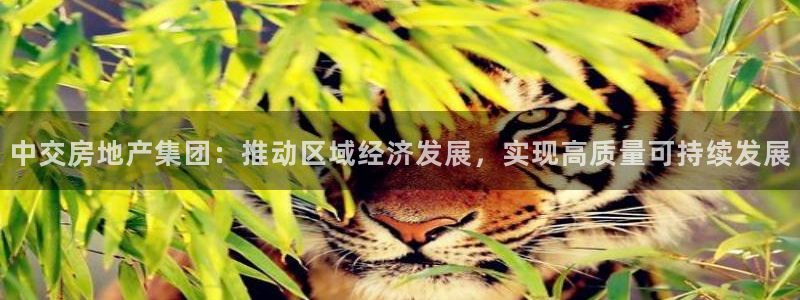 新宝5 888：中交房地产集团：推动区域经济发展，实现高质量