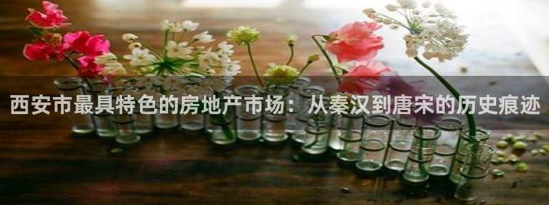 新宝5平台：西安市最具特色的房地产市场：从秦汉到唐宋的历史痕