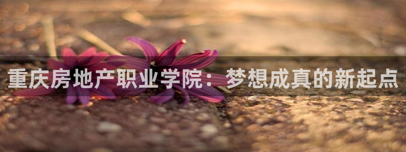 新宝5手机下载：重庆房地产职业学院：梦想成真的新起点