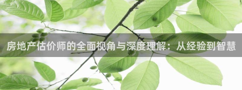 新宝骏rc5W：房地产估价师的全面视角与深度理解：从经验到智