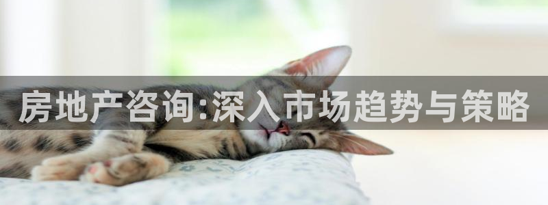 新宝骏rc5W：房地产咨询:深入市场趋势与策略