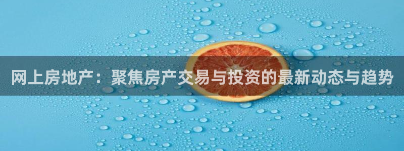 新宝5天：网上房地产：聚焦房产交易与投资的最新动态与趋势