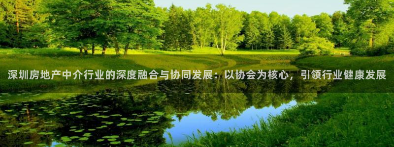 新宝5注册：深圳房地产中介行业的深度融合与协同发展：以协会为