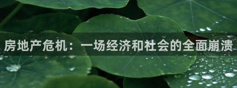 新宝5玩法：房地产危机：一场经济和社会的全面崩溃