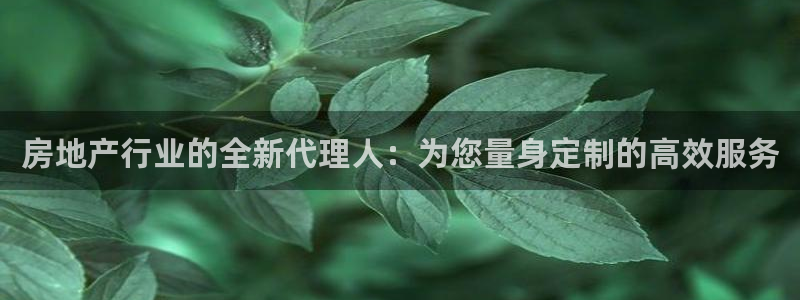 新宝5测速：房地产行业的全新代理人：为您量身定制的高效服务