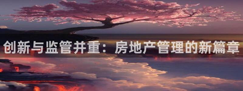 新宝5注册链接：创新与监管并重：房地产管理的新篇章