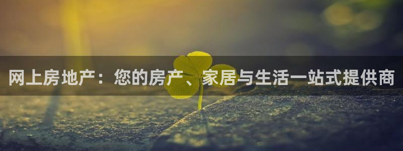 新宝5官方登录入口：网上房地产：您的房产、家居与生活一站式提