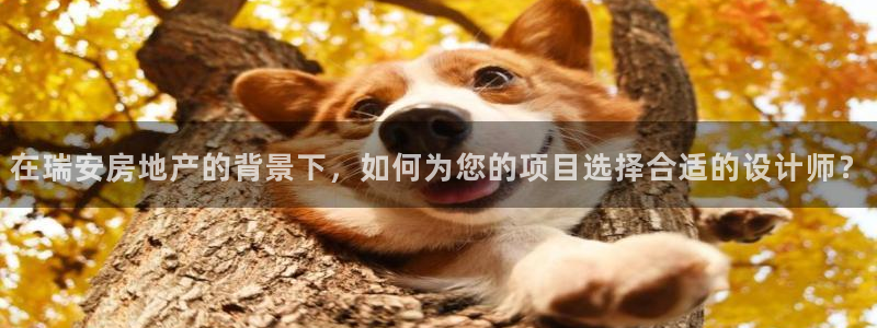 新宝5后：在瑞安房地产的背景下，如何为您的项目选择合适的设计