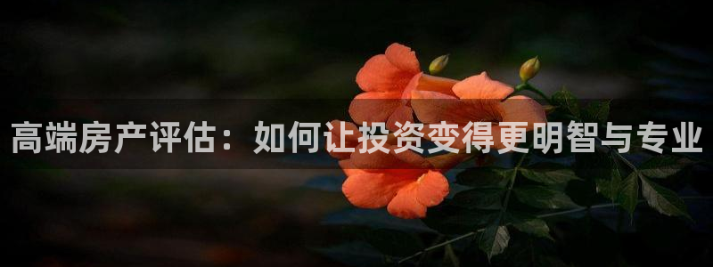 新宝5官方下载地址：高端房产评估：如何让投资变得更明智与专业