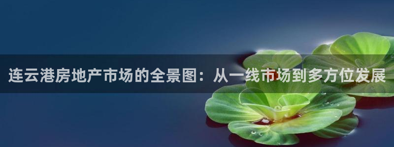 新宝5网：连云港房地产市场的全景图：从一线市场到多方位发展
