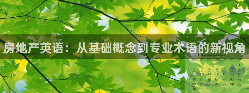新宝5官网平台：房地产英语：从基础概念到专业术语的新视角