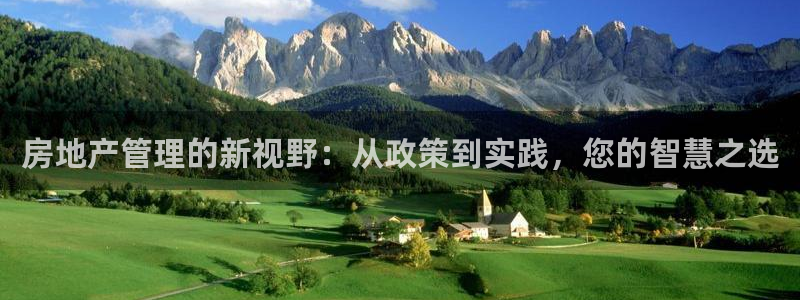 新宝娱乐5入口：房地产管理的新视野：从政策到实践，您的智慧之
