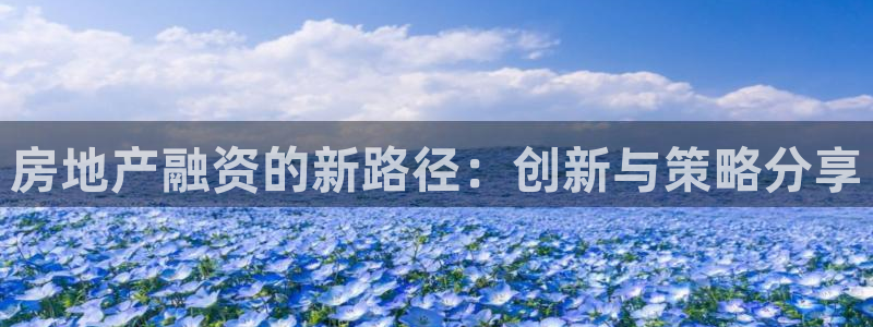 新宝5彩票是正规平台吗：房地产融资的新路径：创新与策略分享