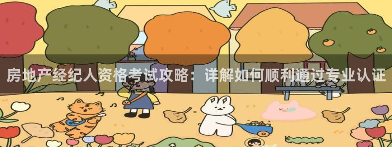 新宝j2O5O5O：房地产经纪人资格考试攻略：详解如何顺利通
