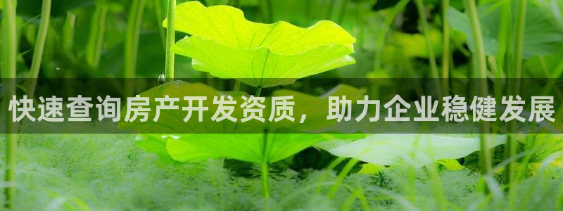 新宝5d：快速查询房产开发资质，助力企业稳健发展