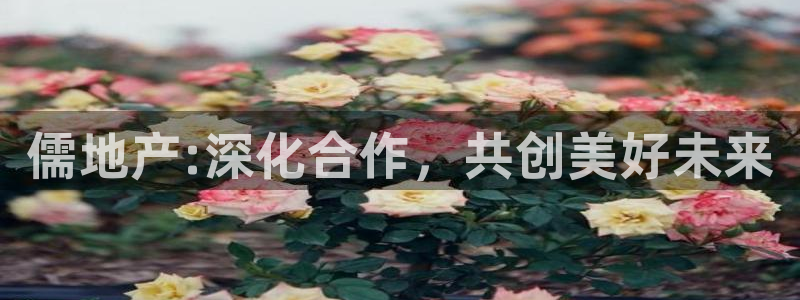 新宝5下载测试：儒地产:深化合作，共创美好未来