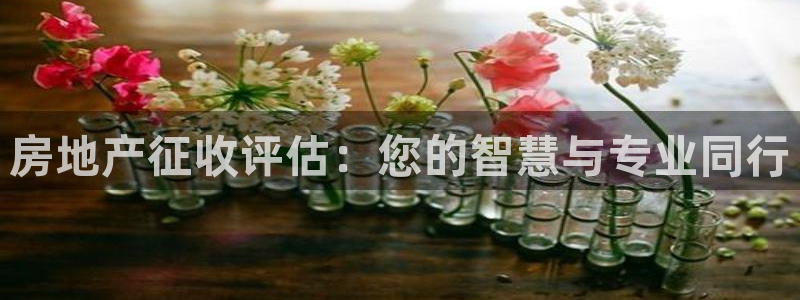 新宝5彩票是正规平台吗：房地产征收评估：您的智慧与专业同行
