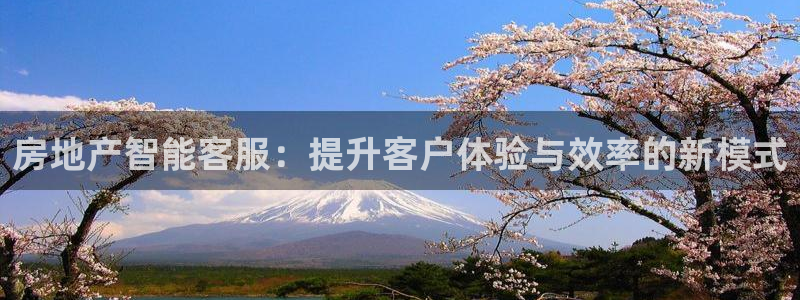 新宝5娱乐手机登录：房地产智能客服：提升客户体验与效率的新模