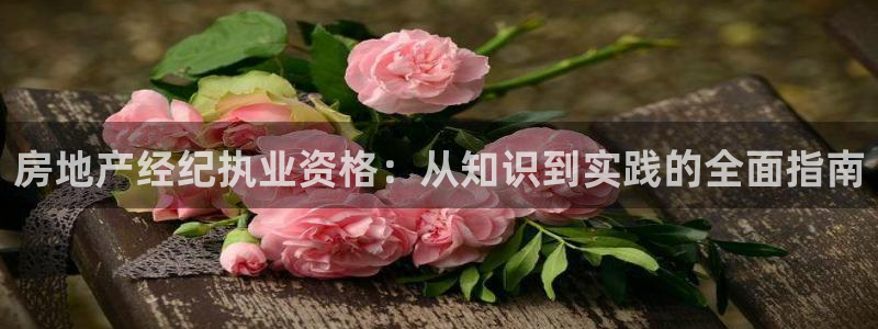新宝5线路登录：房地产经纪执业资格：从知识到实践的全面指南