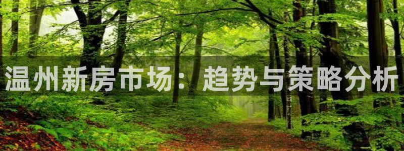 新宝5登陆