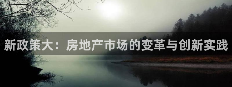 新宝娱乐5入口：新政策大：房地产市场的变革与创新实践