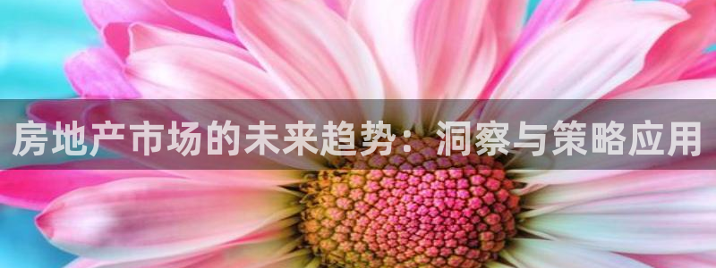 新宝5娱乐多