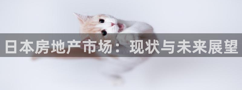 新宝5是谁的：日本房地产市场：现状与未来展望