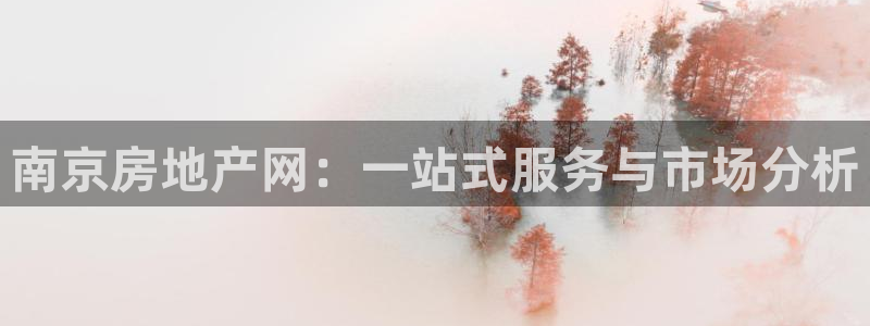 新宝5安卓版：南京房地产网：一站式服务与市场分析