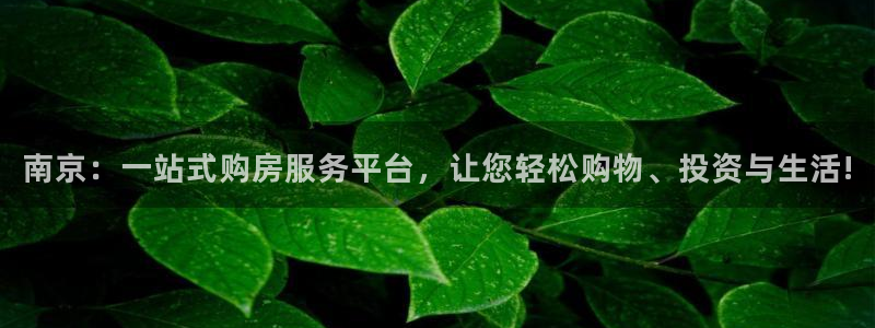 新宝5平台登录注册：南京：一站式购房服务平台，让您轻松购物、