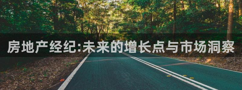 新宝5总代：房地产经纪:未来的增长点与市场洞察