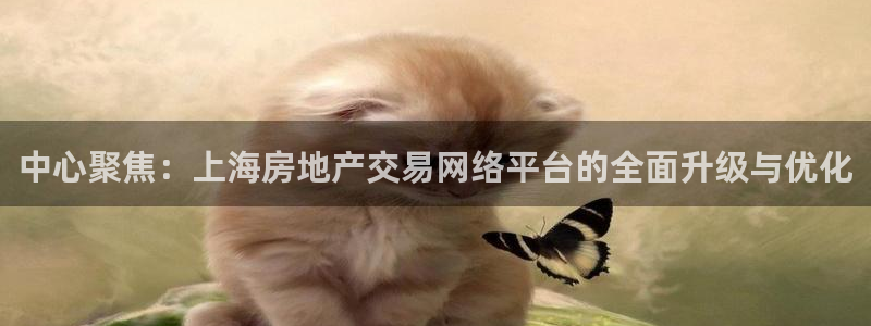 新宝5测试：中心聚焦：上海房地产交易网络平台的全面升级与优化