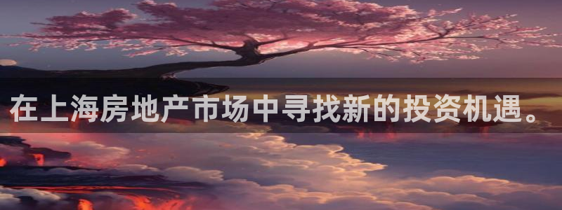新宝骏rc5W：在上海房地产市场中寻找新的投资机遇。