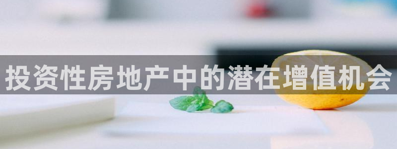 菲律宾新宝5老板：投资性房地产中的潜在增值机会