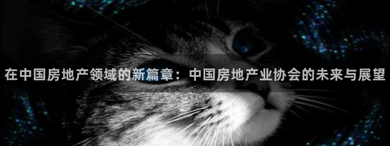新宝5招商部