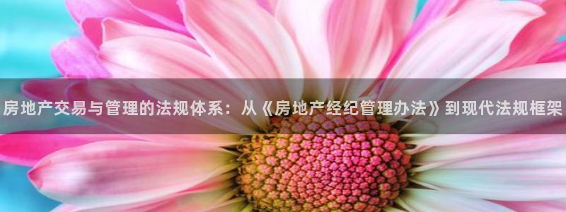 新宝6霸哥5：房地产交易与管理的法规体系：从《房地产经纪管理