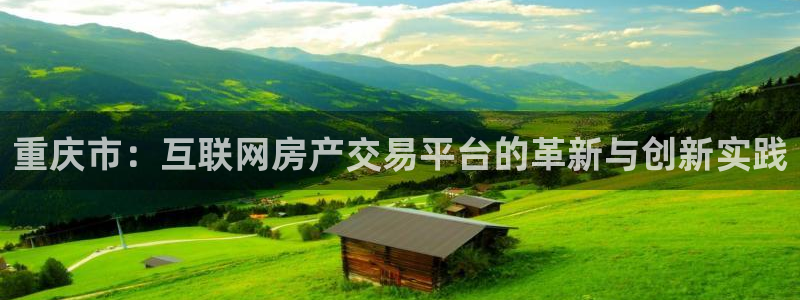 新宝集团新宝5：重庆市：互联网房产交易平台的革新与创新实践