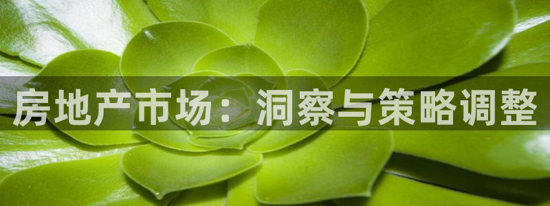 新宝5娱乐主管：房地产市场：洞察与策略调整